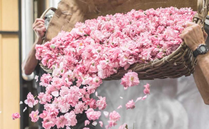 Mouratoglou Hotel & Resort