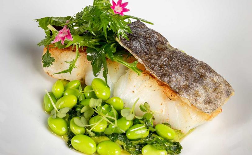 Mouratoglou Hotel & Resort