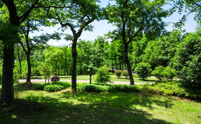 Mouratoglou Hotel & Resort