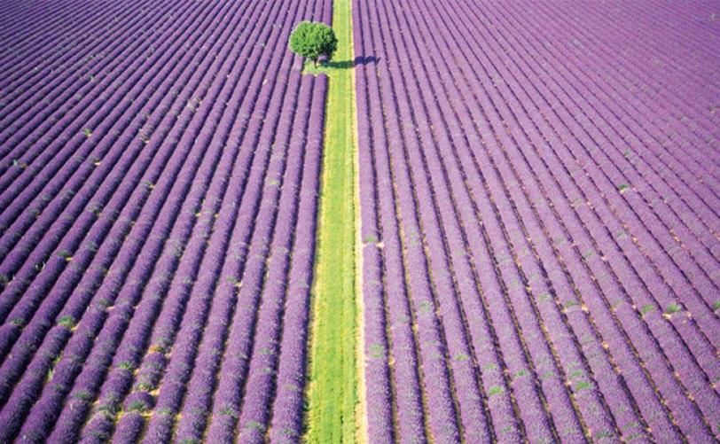 Mouratoglou Hotel & Resort