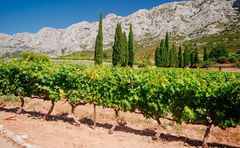 Mouratoglou Hotel & Resort